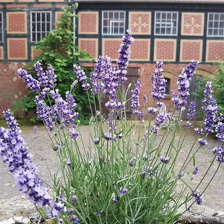 Alte Lebkuchenfabrik Креммен